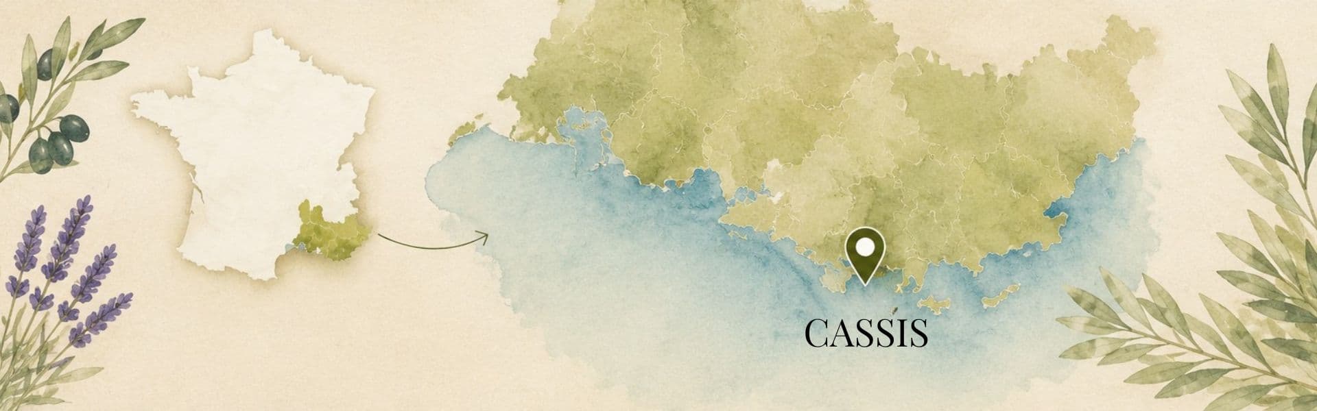 Carte de Cassis | Herboristerie Sensathé